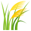 :ear_of_rice: 🌾