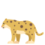 :leopard: 🐆