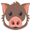 :boar: 🐗