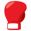 :boxing_glove: 🥊