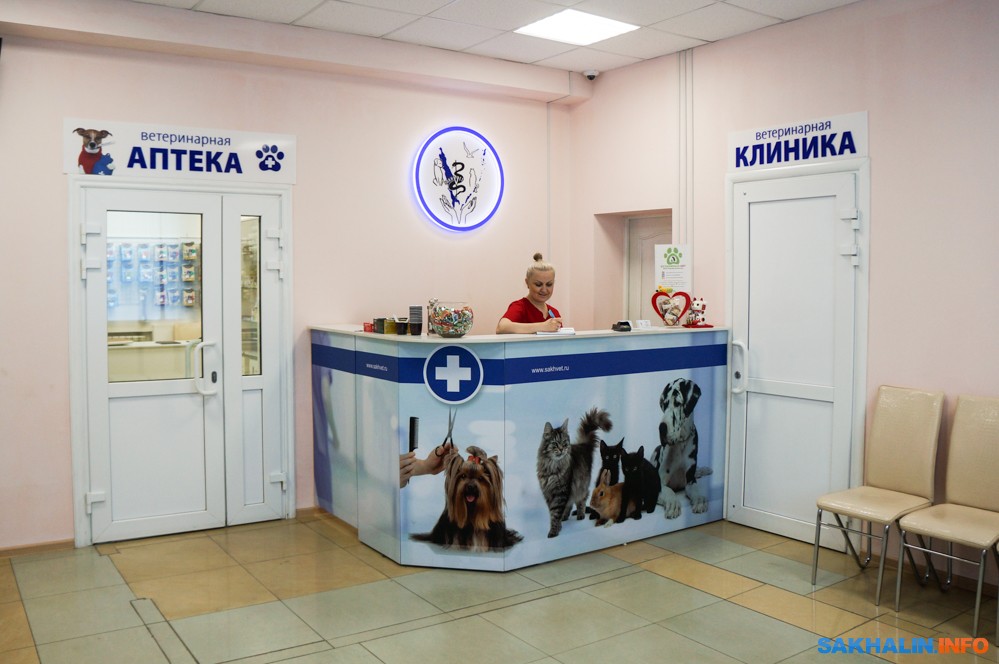Ветеринарная Аптека Южно Сахалинск Сахалинская 41