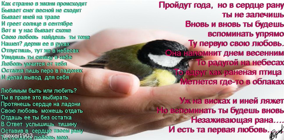 Первая Любовь Стих