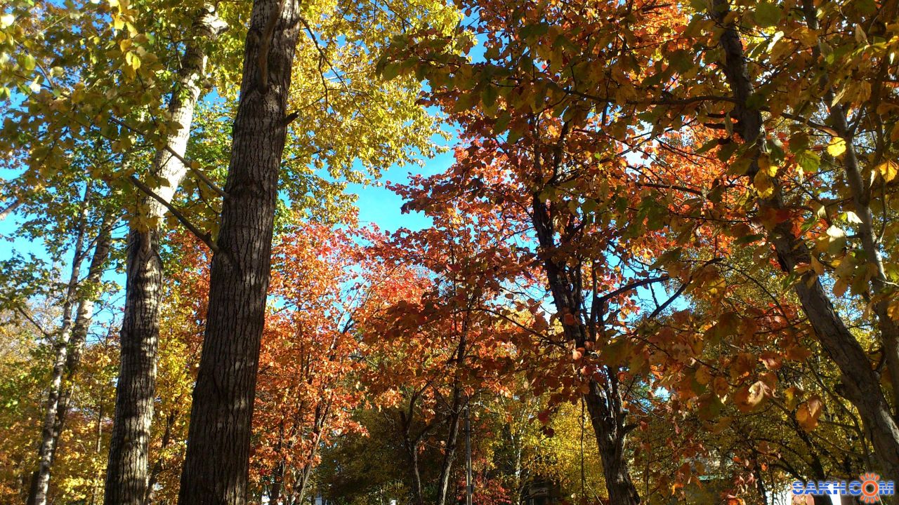 18 октябрь картинки. Солнце солнце октябрь октябрь осень осень. 17 октября картинки. Осень осень золотом одета осень. 18 октябрь картинки.