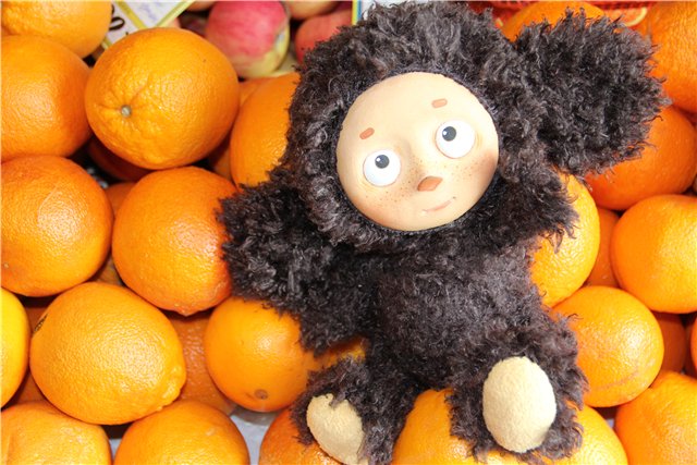 апельсины в чебурашке были настоящими. чебурашка в ящике с апельсинами. чебурашка с апельсином 2023. апельсины в чебурашке были настоящими. чебурашка в ящике с апельсинами.