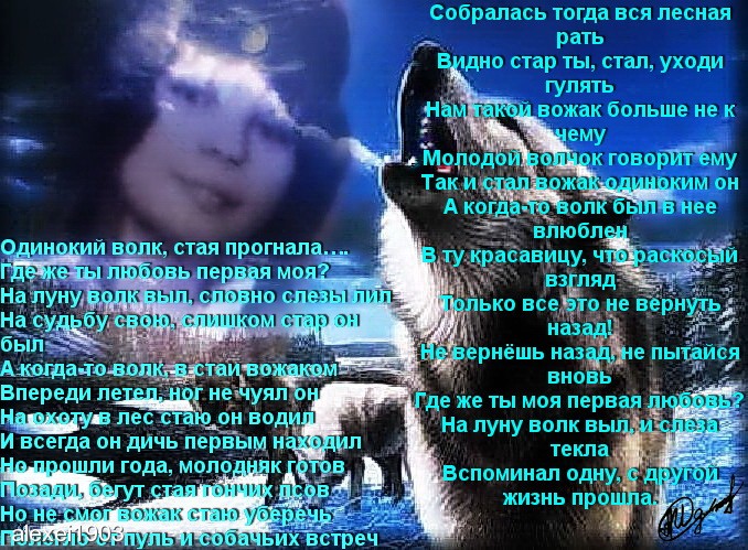 Волком выть стихи. Стих про волка. Стихотворение одинокий волк. Стихи волки и любовь. Стихи про одинокого волка.
