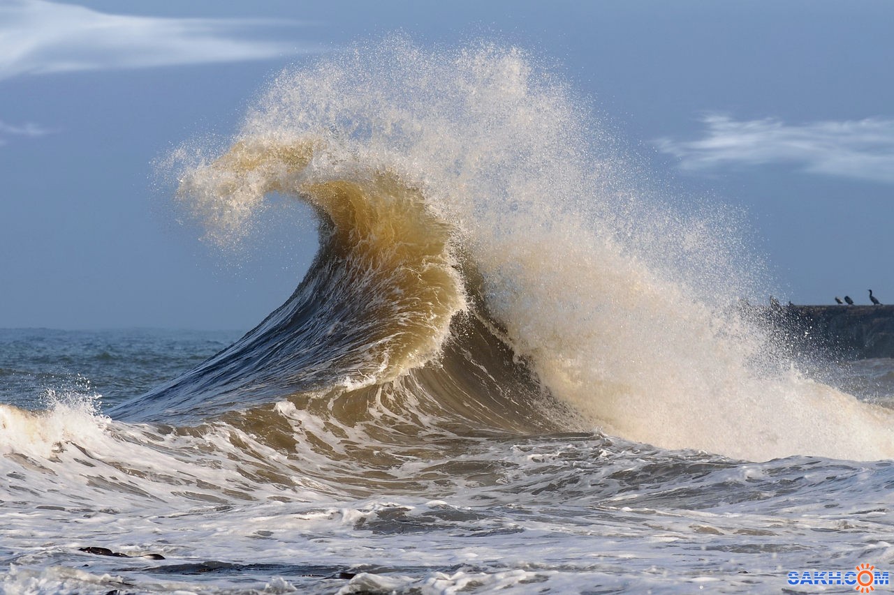 Волна бегущая по поверхности воды. Море, волны. Красота моря. Красивые волны. Сильные волны.