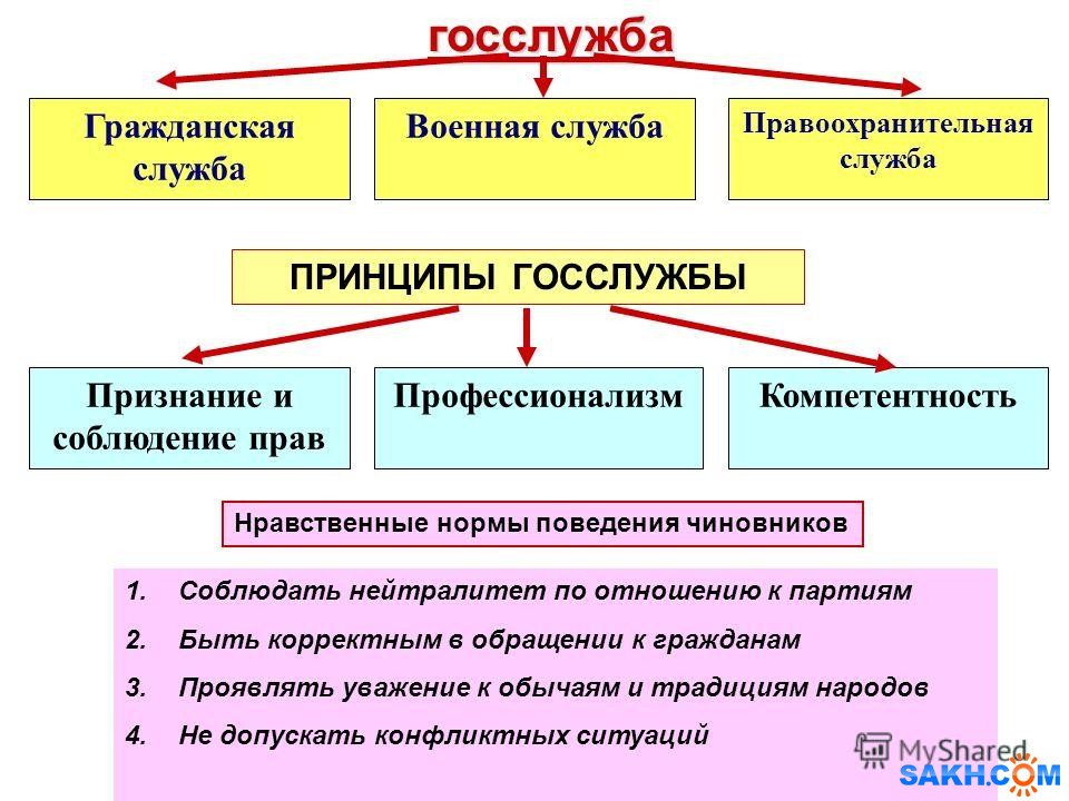 Государственная служба это. Государствекннаяслужба. Гражданская служба. Принципы государственной службы. Принципы государственной гражданской службы.