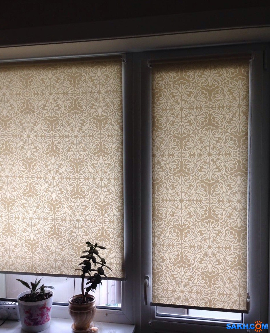 fotogalereya sakhalin name