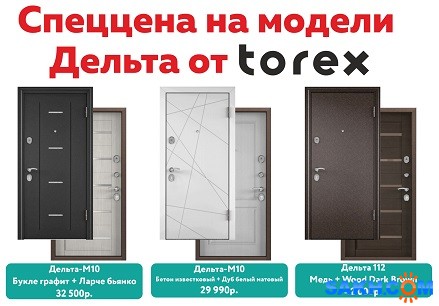 Двери Торэкс от 29990 рублей. Спеццена на модель "Дельта"