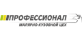 Профессионал