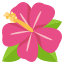 :hibiscus: 🌺