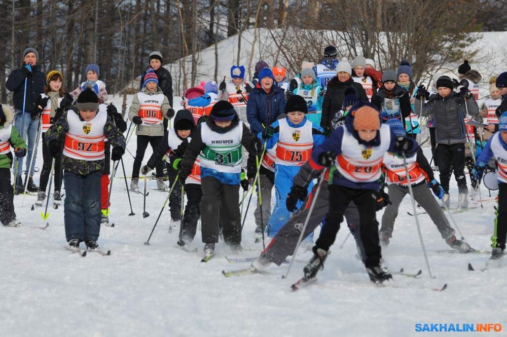 Спорт вестник