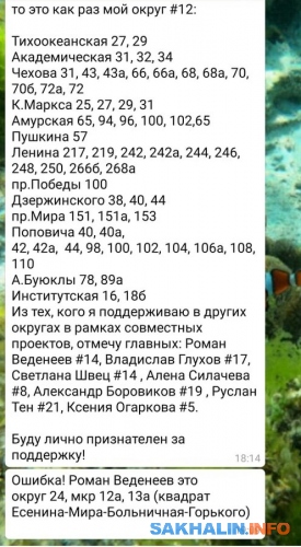 Кандидат в депутаты Иван Бутаков агитирует за себя в группе в ватсапе 