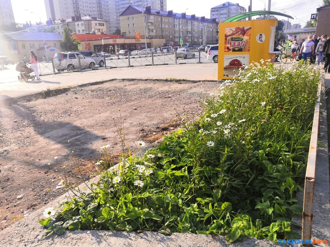 Мэрия Южно-Сахалинска думает, что делать с пустырем у 