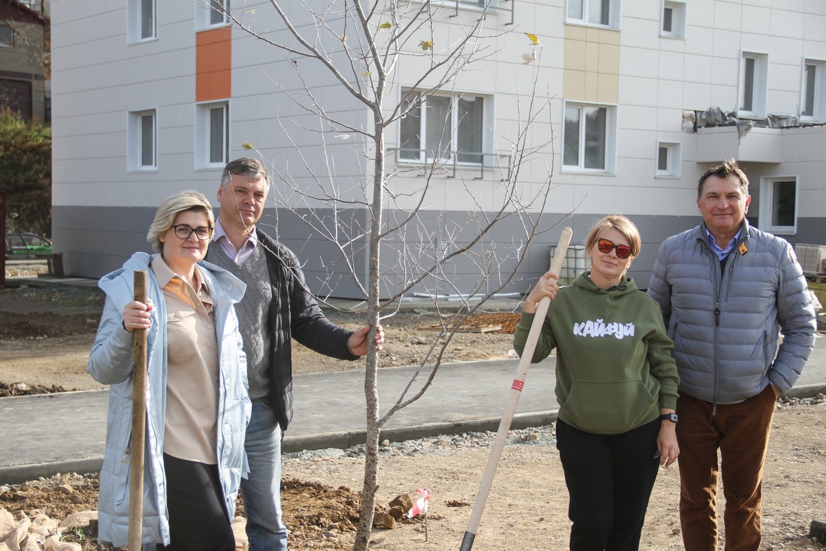 Строительство домов в корсакове