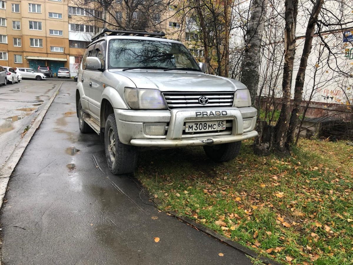 Не на всех южносахалинцев действуют штрафы за неправильную парковку.  Сахалин.Инфо