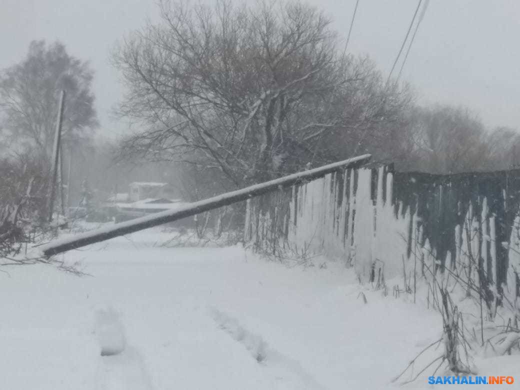 Деревья и столбы попадали на Сахалине во время снежного циклона.  Сахалин.Инфо