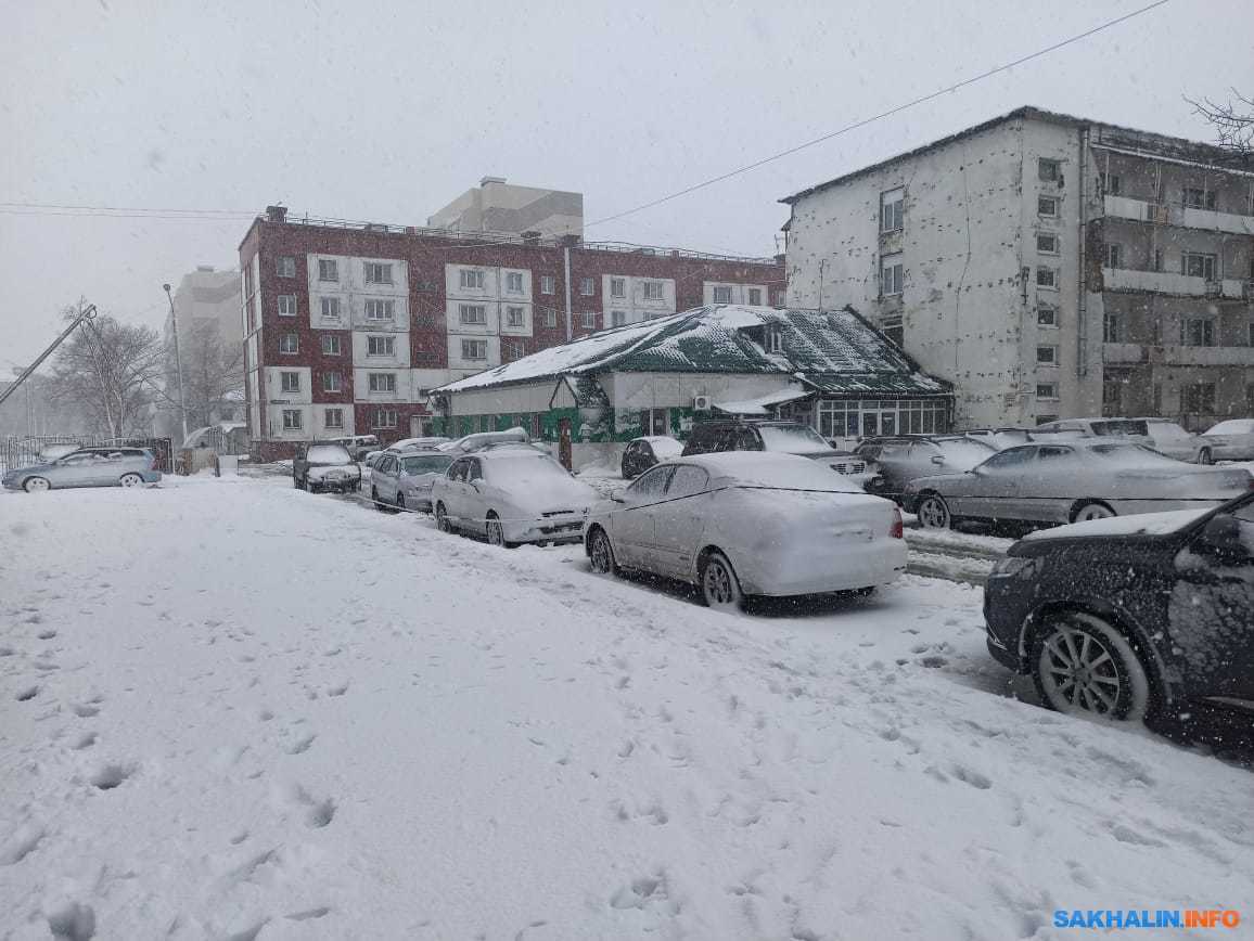 Деревья и столбы попадали на Сахалине во время снежного циклона.  Сахалин.Инфо