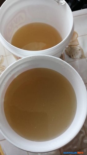Так вода выглядела в первую неделю, сейчас она ненамного лучше 