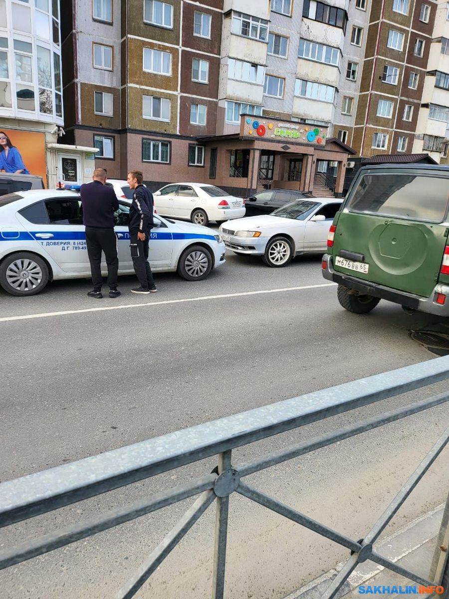 Полиция занялась пьяными дебоширами прямо посреди дороги в Южно-Сахалинске.  Сахалин.Инфо