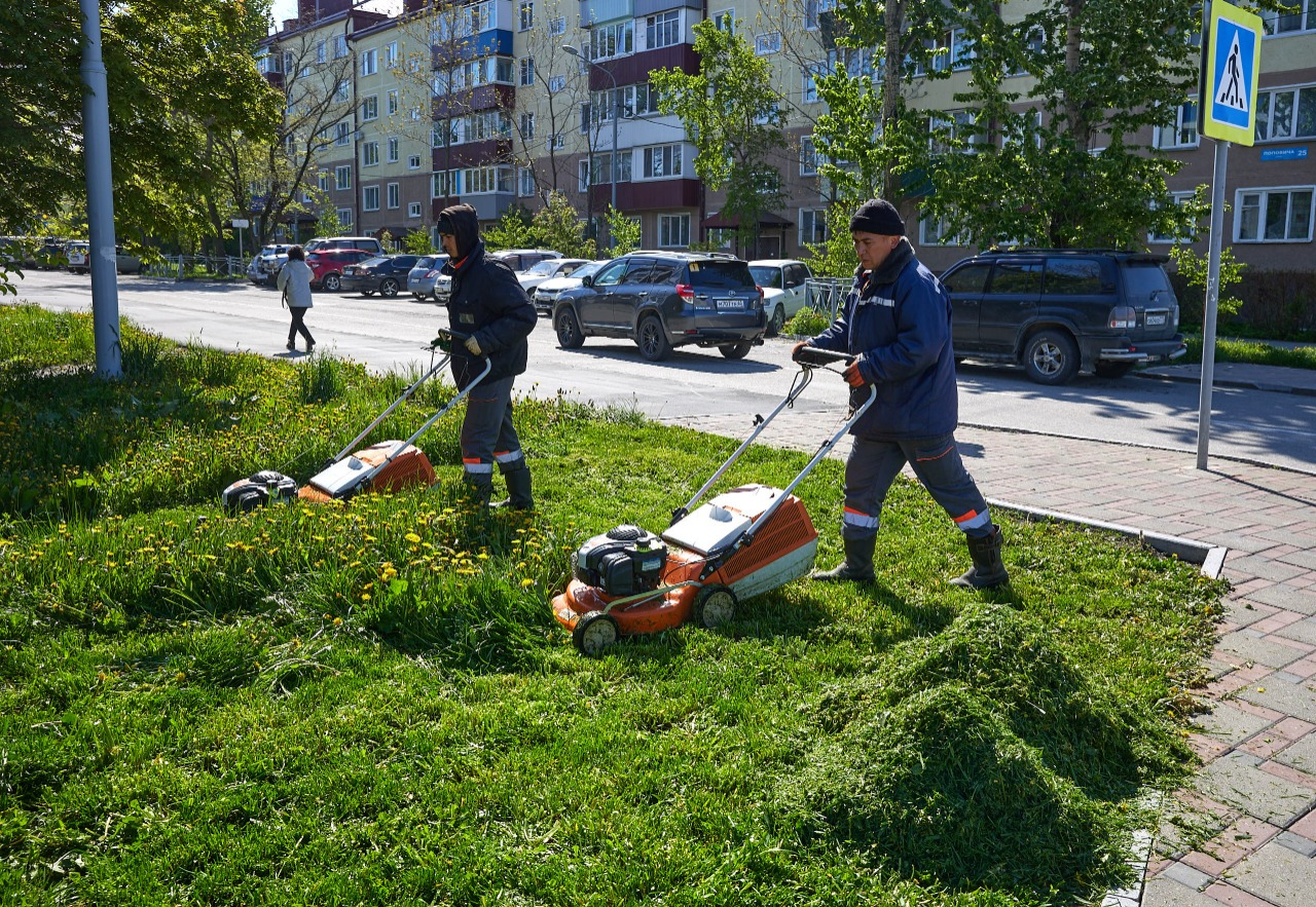 Южно-сахалинские газоны делают красивее. Сахалин.Инфо