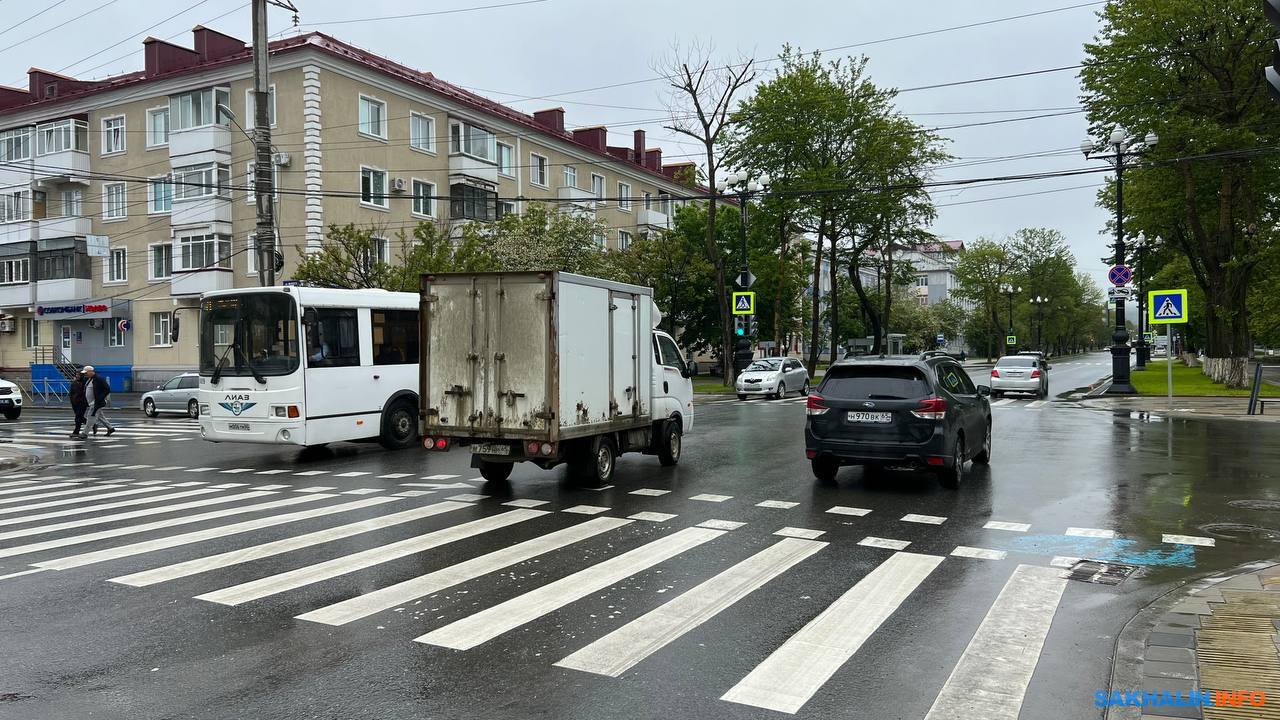 В Южно-Сахалинске спасли пару деревьев от проводов, но этого мало.  Сахалин.Инфо