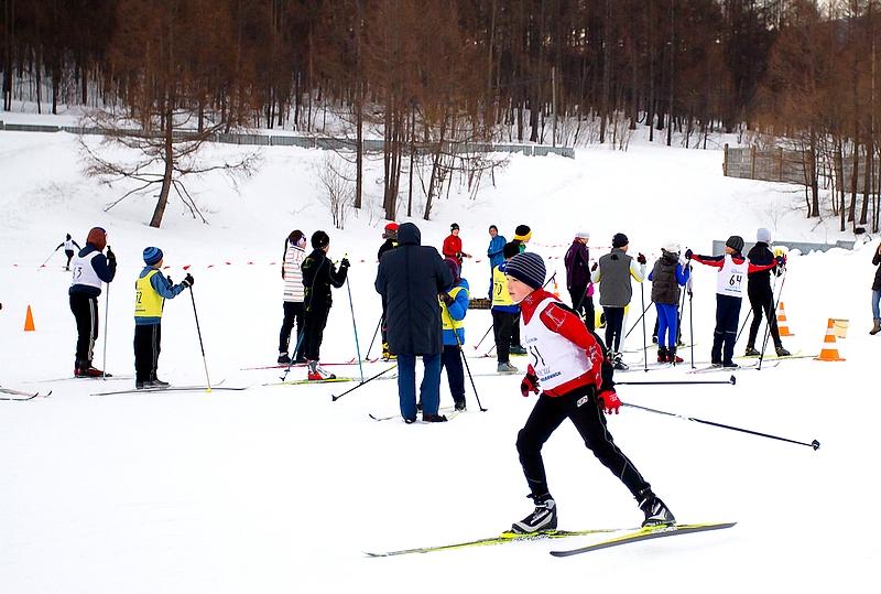 Спортивная школа зимних видов. ДЮСШ по зимним видам спорта. Спортивная зима в школе. ДЮСШ зима. Спортивная школа по зимним видам спорта Алмаз.