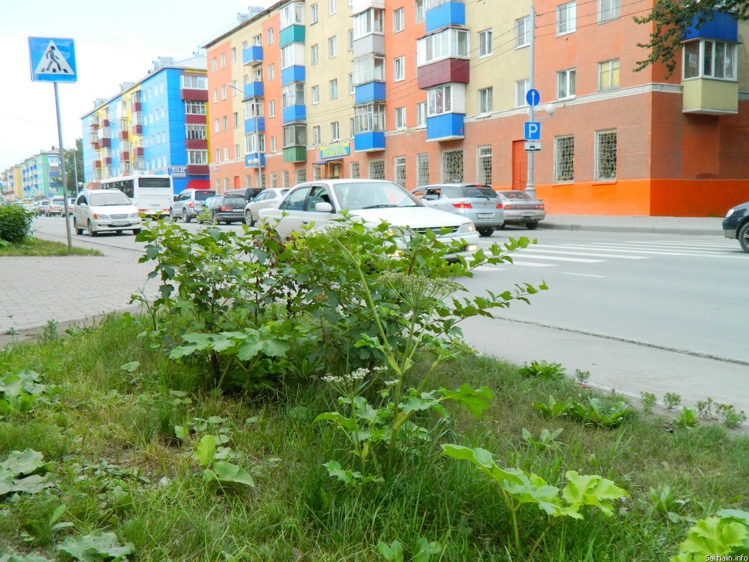 В Южно-Сахалинске разгорается 