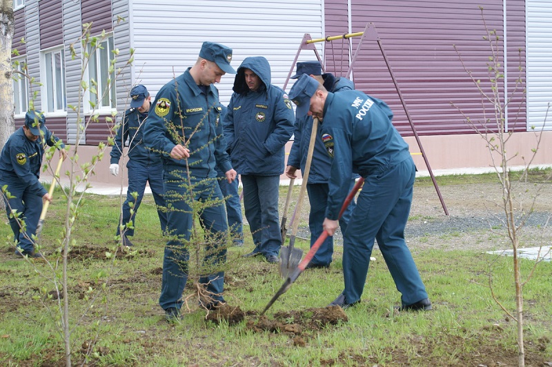 Местный гарнизон пожарной. Министерство лесного хозяйства Сахалинской области. Агентство лесного хозяйства Сахалинской области. Министр лесного хозяйства Сахалинской области. День посадки леса.