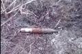 Сахалинец обнаружил снаряд в лесополосе в Хомутово