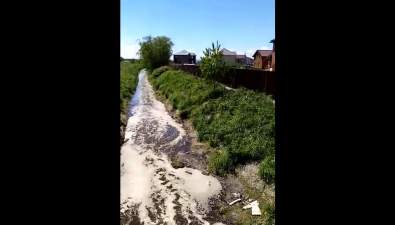 В Новотроицком потекла вонючая навозная речка