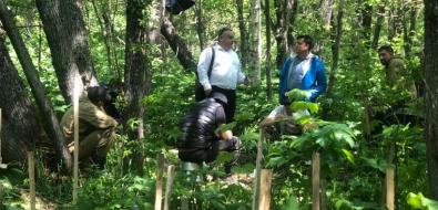 Сахалинский "Горный воздух" начал пересадку краснокнижных растений вопреки решению суда