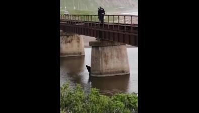 В Горнозаводске нарушитель несколько часов прячется от сотрудников ГИБДД в реке