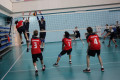 Победителями первенства области по волейболу стали "Динамо" и "Вертикаль"