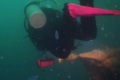 Сахалинские дайверы исследовали затонувший сухогруз