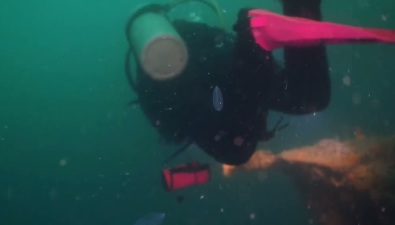 Сахалинские дайверы исследовали затонувший сухогруз