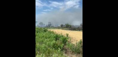 Сахалинцы сообщают о новом лесном пожаре в Охинском районе