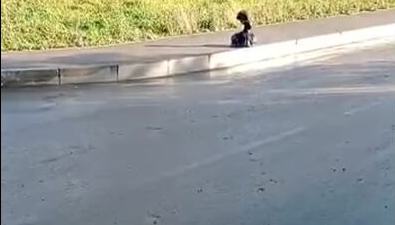 В Южно-Сахалинске возле стройки "Уюна" снова грязно