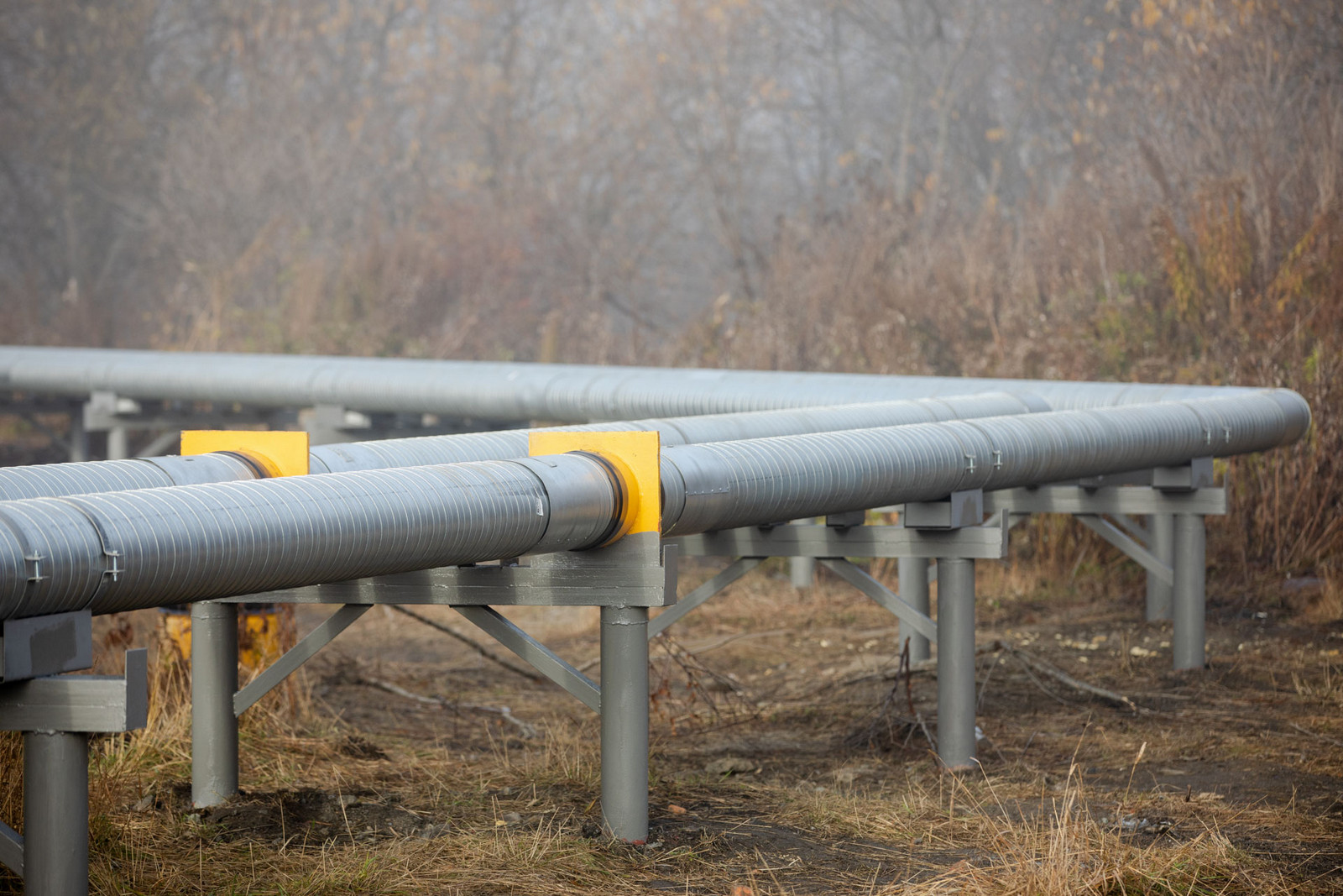 В Березняках строители за день дважды повредили газопровод. Сахалин.Инфо