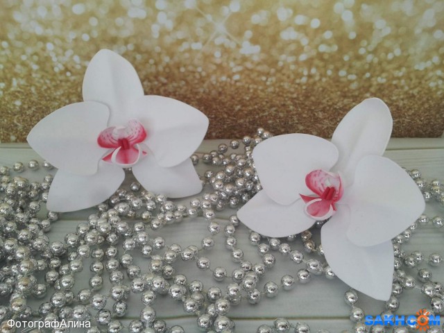 резинки орхидея
сделано из фоамирана

Просмотров: 2334
Комментариев: 0