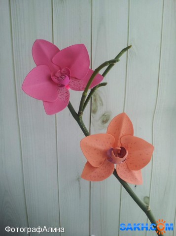 резинки орхидея
сделано из фоамирана

Просмотров: 2224
Комментариев: 0