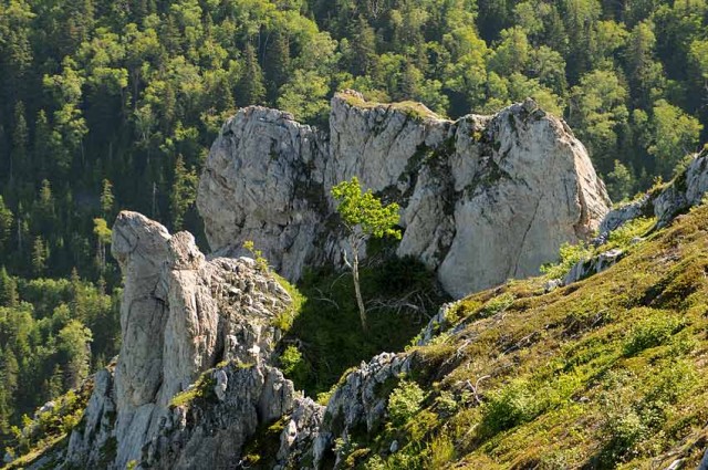 каменное гнездо
Фотограф: Alexsander Semenov

Просмотров: 340
Комментариев: 0