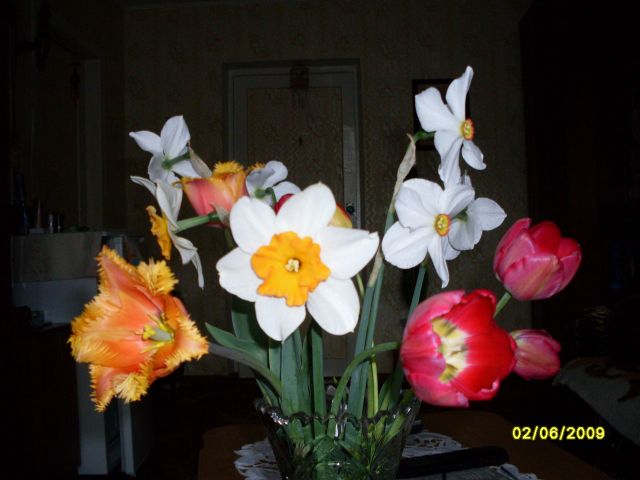 Букет.Тюльпаны и нарциссы
Фотограф: Maricha

Просмотров: 1029
Комментариев: 0