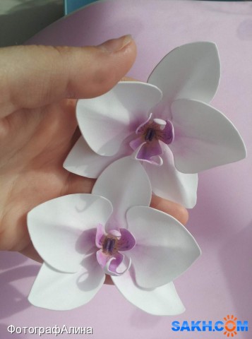 резинки орхидея
сделаны из фоамирана

Просмотров: 2485
Комментариев: 0