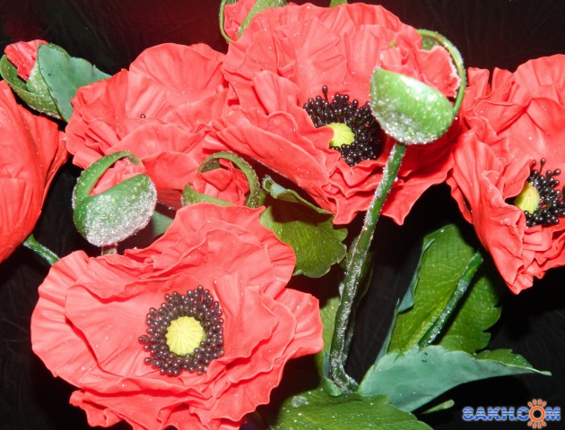 Керамическая флористика (цветы из холодного фарфора слепленные вручную) МАКИ

Просмотров: 1308
Комментариев: 0