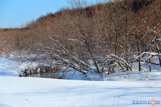 Сахалинская зима
Фотограф: gadzila

Просмотров: 2076
Комментариев: 0