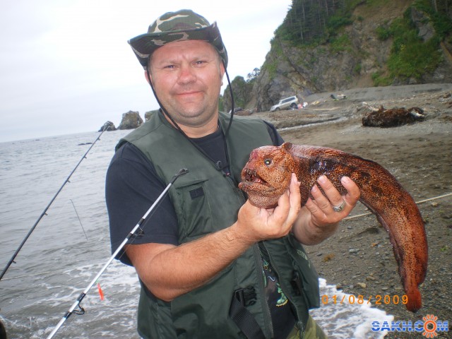 Рыба собака. Морская собака Охотское море. Морская собака рыба на Сахалине. Морская собака рыба в Охотском море. Рыба бычок Охотское море.