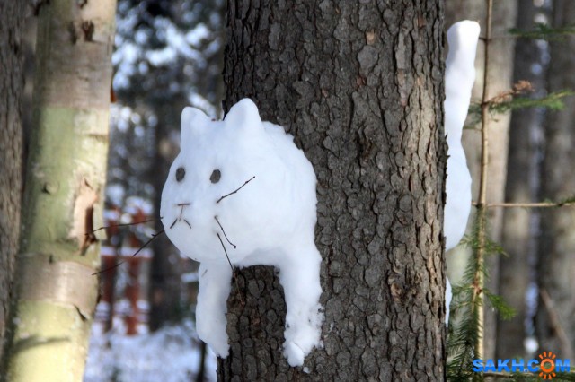 Снежный кот

Просмотров: 249
Комментариев: 2