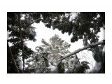 обкатка снегоступов 
обкатка снегоступов 

Просмотров: 520 
Комментариев: 0