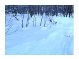 Раскуроченный снегоходами переезд через р. Уюновку
Кое-как обошёл по перемёту

Просмотров: 1291
Комментариев: 0